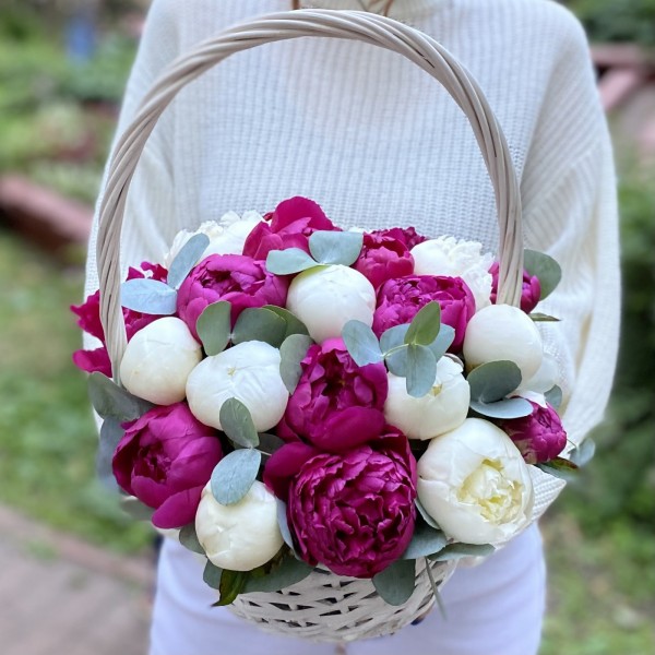 25 малиновых и белых пионов в корзине